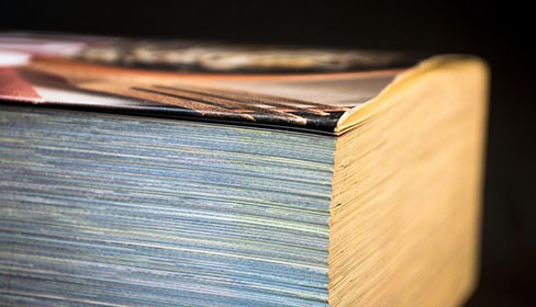 如何查看发票号码？点击了解发票号码查询的具体说明