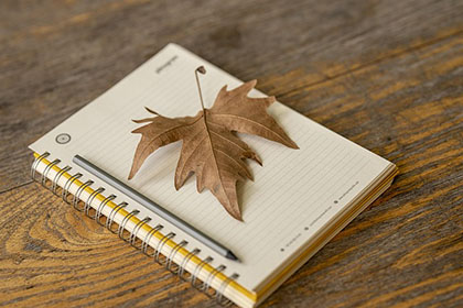 中级会计资格审核有哪些方法？2026年的审核流程是否有所调整