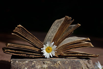 海南2026年中级会计报名简章已正式公布！新手报名务必仔细查看