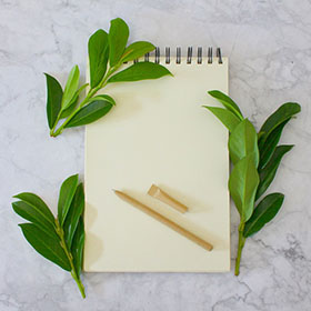 2026年注册会计师报名、缴费及考试时间已公布！考试时间推迟